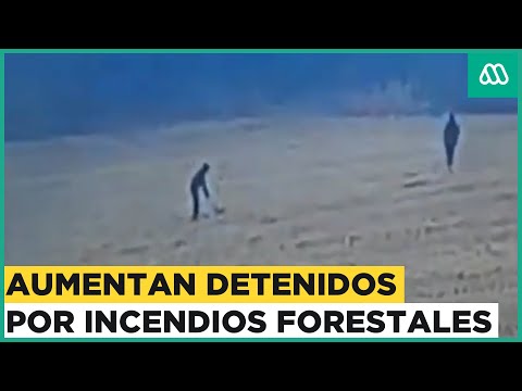 Aumentan detenidos por provocar incendios forestales en sur de Chile