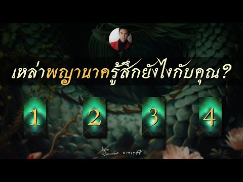 [เลือกไพ่]🕯️เหล่านาคราชท่านช