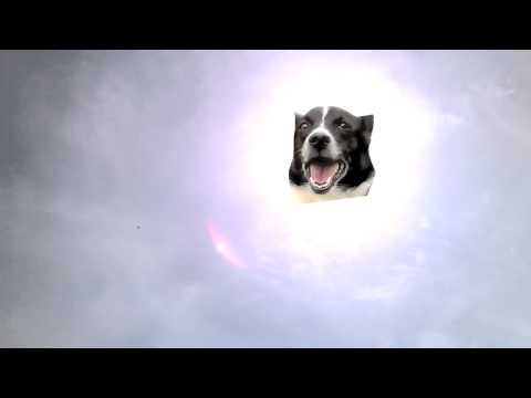 Video: Saulė - Geriausias visų laikų žadintuvas