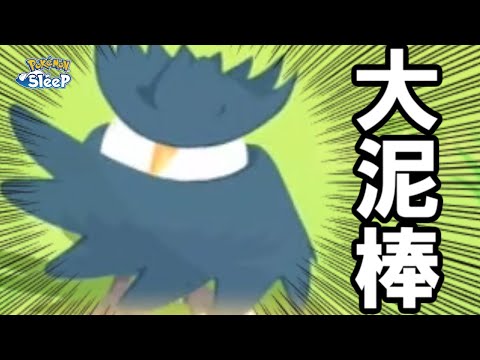 ジュエルを全て盗まれました。【ポケモンスリープ】