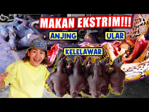 EXTRIMNYA MENDUNIA!! MAKAN ANJING, KUCING, PITON, TIKUS SUDAH LUMRAH DI SINI…TAKUT BOLEH SKIP!!