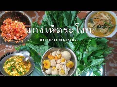 เห็ดระโงกไข่เหลืองเห็ดไข่ห่าน