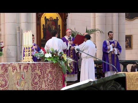 El arzobispo de Madrid preside la misa funeral por el papa Benedicto XVI