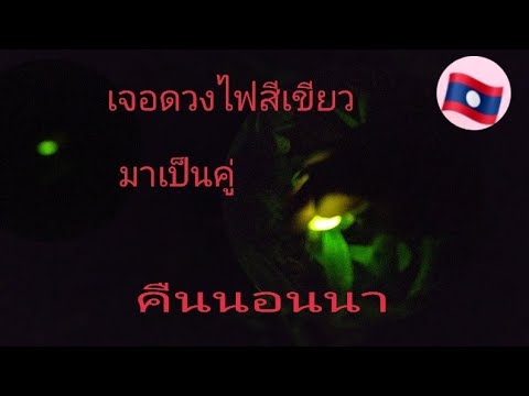 ดวงไฟปริศนา(สีเขียว)คืนนอนนาน่ ดวงไฟปริศนา(สีเขียว)คืนนอนนาน่