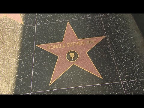 Flowers placed on Donald Sutherland's Hollywood Walk of Fame star
