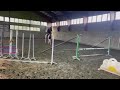 Springpaard Emerald merrieveulen uit 1.40m bloedlijn