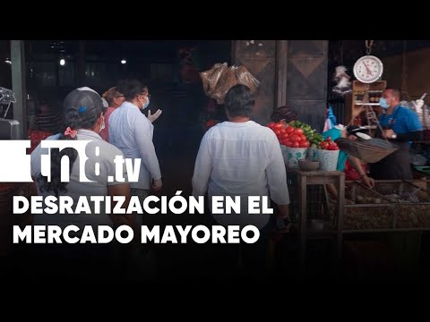 Desratización llega al Mercado Mayoreo, Managua - Nicaragua