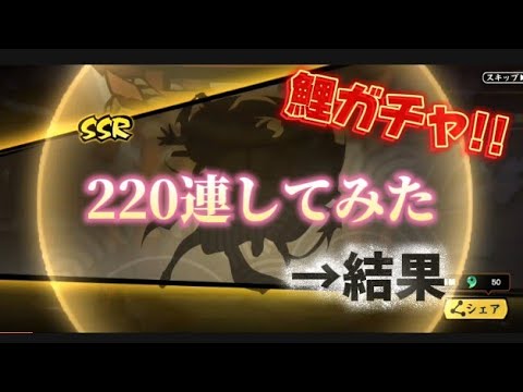 【忍者マストダイ367】鯉ちゃんガチャ