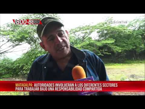 1 mil hectáreas se proyecta Matagalpa reforestar para el resto de 2020 – Nicaragua