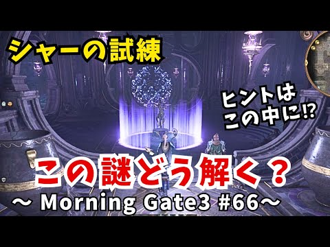 【ゆっくり実況】【バルダーズゲート３】Morning Gate3 #66