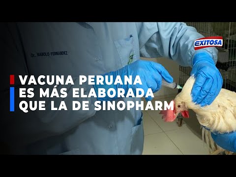 ??Manolo Fernández: Vacuna peruana es más elaborada que la china de Sinopharm