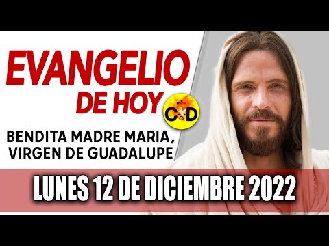 Evangelio del día de Hoy Lunes 12 Diciembre 2022 LECTURAS y REFLEXIÓN Catolica | Católico al Día