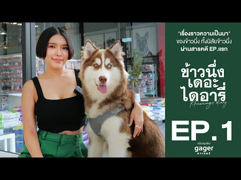 เรื่องราวความเป็นมา...ของข้าวน เรื่องราวความเป็นมา...ของข้าวน