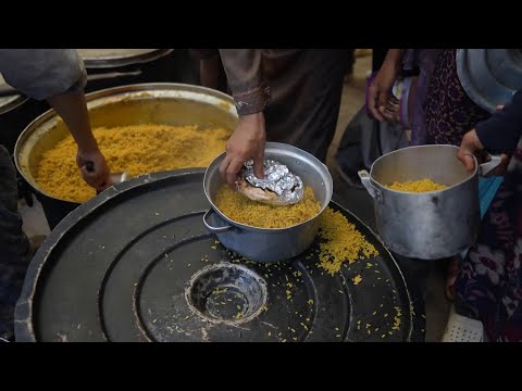 Almost 11 months into the war, Palestinians in Gaza struggle to access to food and clean water