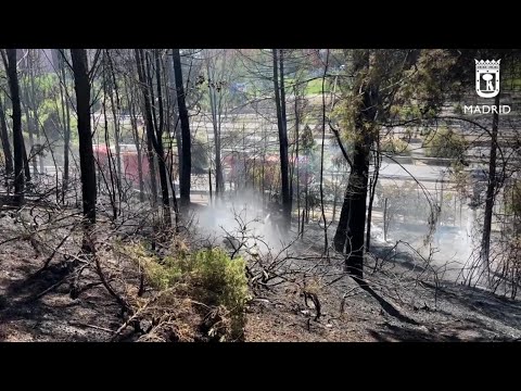 Extinguido un incendio de pastos en una zona arbolada en Madrid junto a la M-30