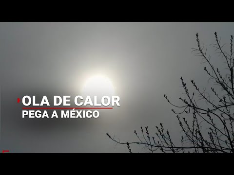 México comienza a ser AZOTADO por el CALOR; se esperan hasta 40 grados en algunas zonas