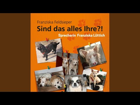 Kapitel 05 - Sind das alles Ihre?!