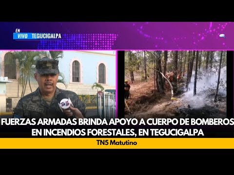 Fuerzas armadas brinda apoyo a cuerpo de bomberos en incendios forestales, en Tegucigalpa