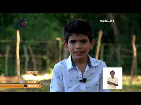 Cuba/Mayabeque: Preparan relevo ganadero con inserción de niños en varias actividades