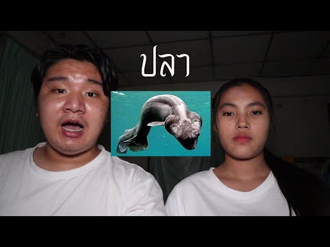 พวกเราซื้อ-ปลา-มาจาก-Dark-Web! พวกเราซื้อ-ปลา-มาจาก-Dark-Web!
