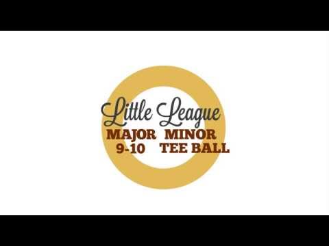 Little League Bat Rules: Youth Baseball Division - JustBats.com Buying Guide Video