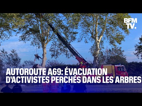 Autoroute A69: les forces de l’ordre procèdent à l’évacuation d’activistes perchés dans les arbres