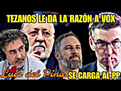 LUIS DEL PINO, TEZANOS LE DA LA RAZÓN A VOX, Y CRITICA AL PP DE FEIJÓO