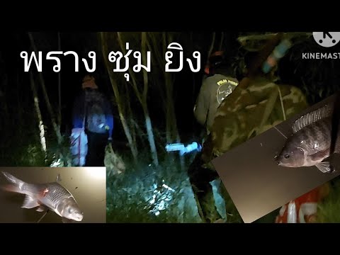 พรางซุ่มยิงปลาธรรมชาติEp10