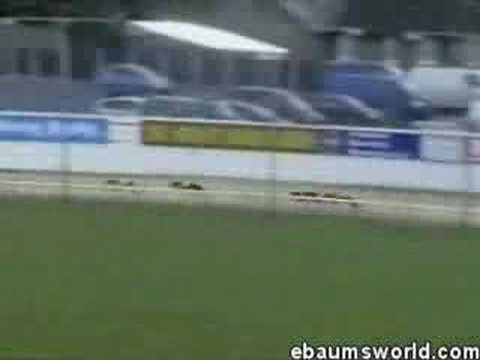 Video: Racing dogs-daugiau nei tik šunys. - 