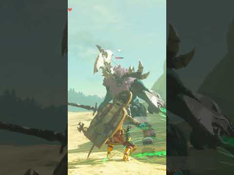 【ティアキン】スタルリ台地のライネル　ゼルダの伝説ティアーズオブ ザキングダムNintendo Switch 2 Edition #zelda #shorts