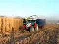 Мискантус: Miscanthus Harvest 