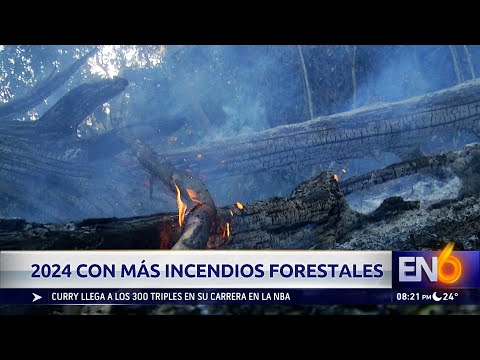 IMPACTO DE LOS INCENDIOS FORESTALES