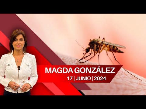 Registran más de 1000 casos de dengue en Colima
