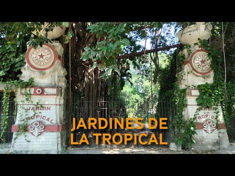 Jardines de La Tropical: otro PATRIMONIO ABANDONADO por el desinterés oficial