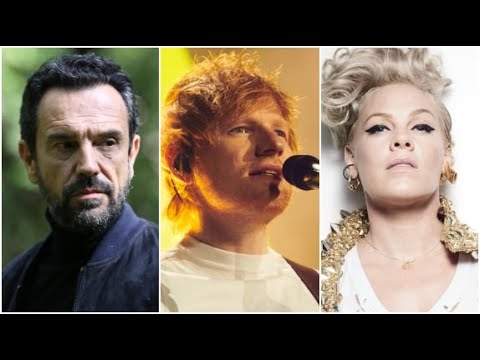 De Palmas, Ed Sheeran, Pink... Quels sont les flops musicaux de 2023 ?