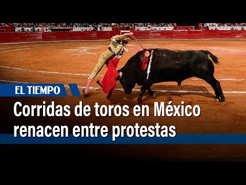 Las corridas de toros vuelven a Ciudad de México en medio de protestas | El Tiempo