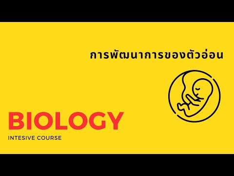 การพัฒนาการของตัวอ่อน(A-level