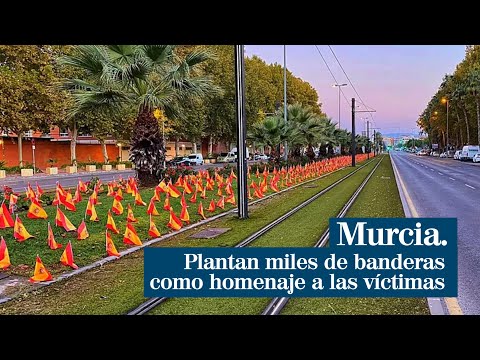 Plantan miles de banderas en Murcia como homenaje a las víctimas del Covid