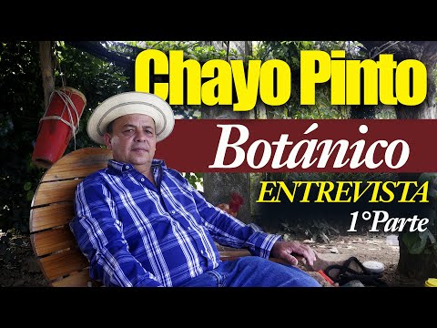 ENTREVISTA A BOTANICO CHAYO PINTO - PRIMERA PARTE (1/4)