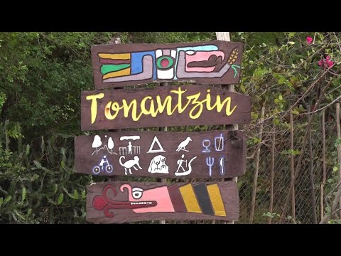 Tonantzin; un sitio que abraza y promueve la conservación de la naturaleza