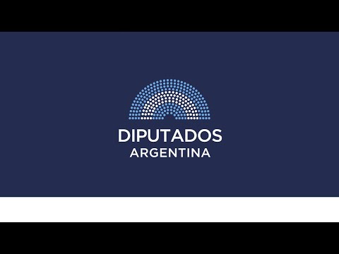SESIÓN ESPECIAL: 29 de abril 2024 - Ley de Bases | Diputados Argentina