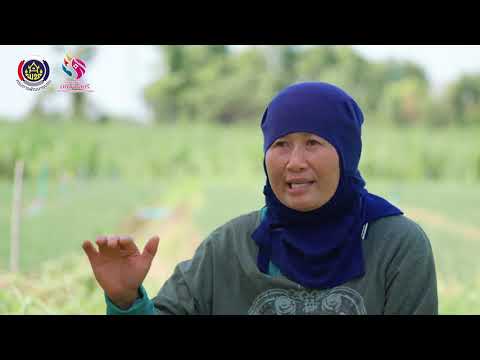 กลุ่มอาชีพกองทุนพัฒนาบทบาทสตรี กลุ่มอาชีพกองทุนพัฒนาบทบาทสตรี