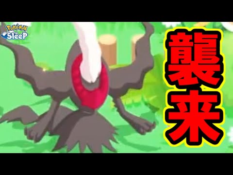 初日ダークライかましていくうううう！！！！【ポケモンスリープ】