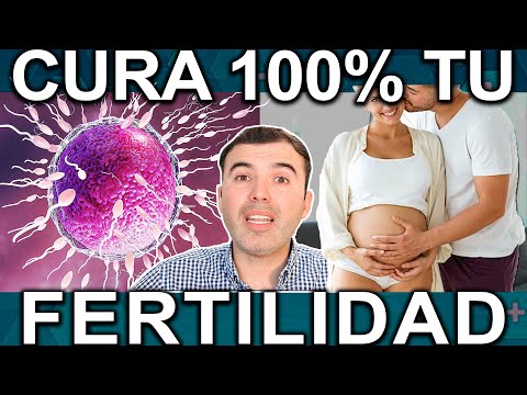 COMO CURAR LA FERTILIDAD Y QUEDAR EMBARAZADA MAS RAPIDAMENTE