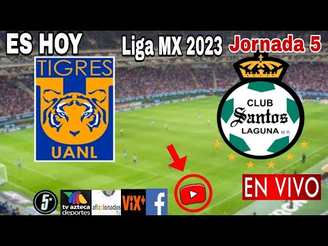 Tigres vs. Santos en vivo, donde ver, a que hora juega Tigres vs. Santos Liga MX 2023