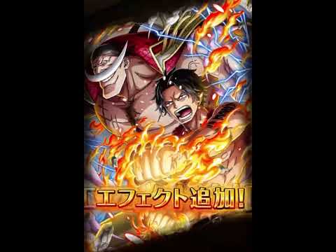 [トレクル][OPTC]年末年始にこの共演は激アツでしょ！ #ワンピース #トレクル #onepiece #ワンピーストレジャークルーズ