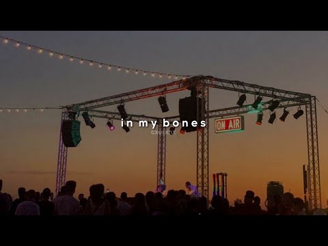 lost frequencies & david kushner - in my bones (slowed + reverb)