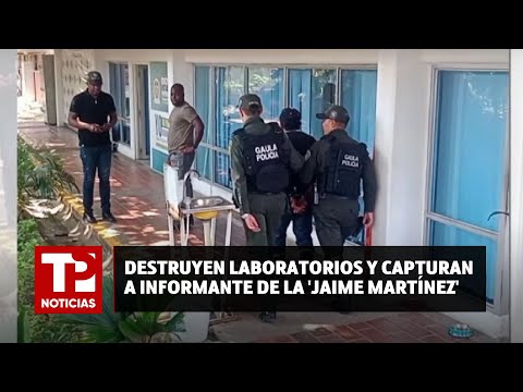 Destruyen laboratorios de coca y capturan informante de la 'Jaime Martínez'