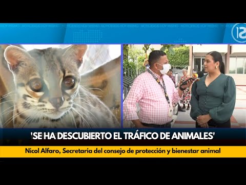 'Se ha descubierto el tráfico de animales': Nicol Alfaro