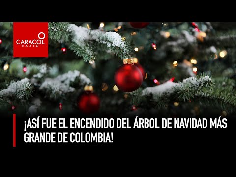 ¡Así fue el encendido del árbol de Navidad más grande de Colombia! | Caracol Radio